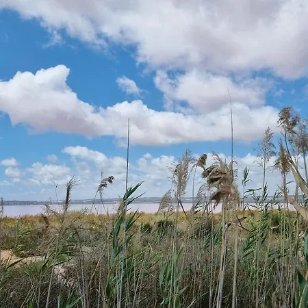 The Mediterranean Shelter Near The Salt Flats *