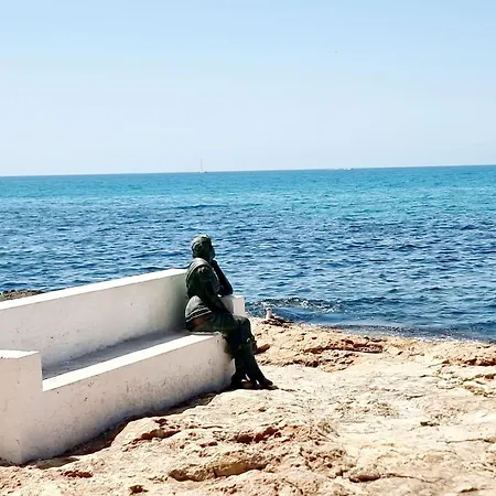 The Mediterranean Shelter Near The Salt Flats La Mata (Torrevieja)